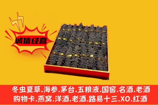 湛江雷州市回收海参